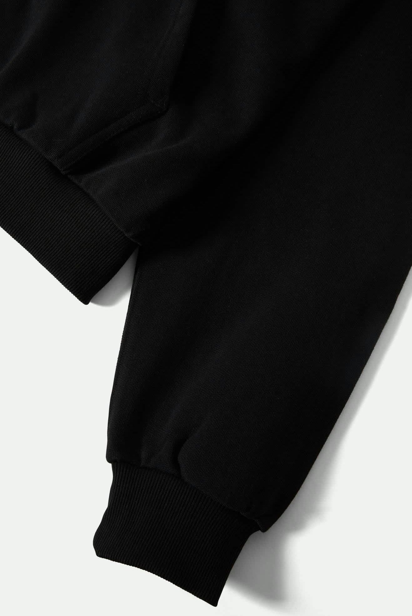Men's Embroidered Heavyweight Oversized Full Zip in the color Black - Additional Laydown image