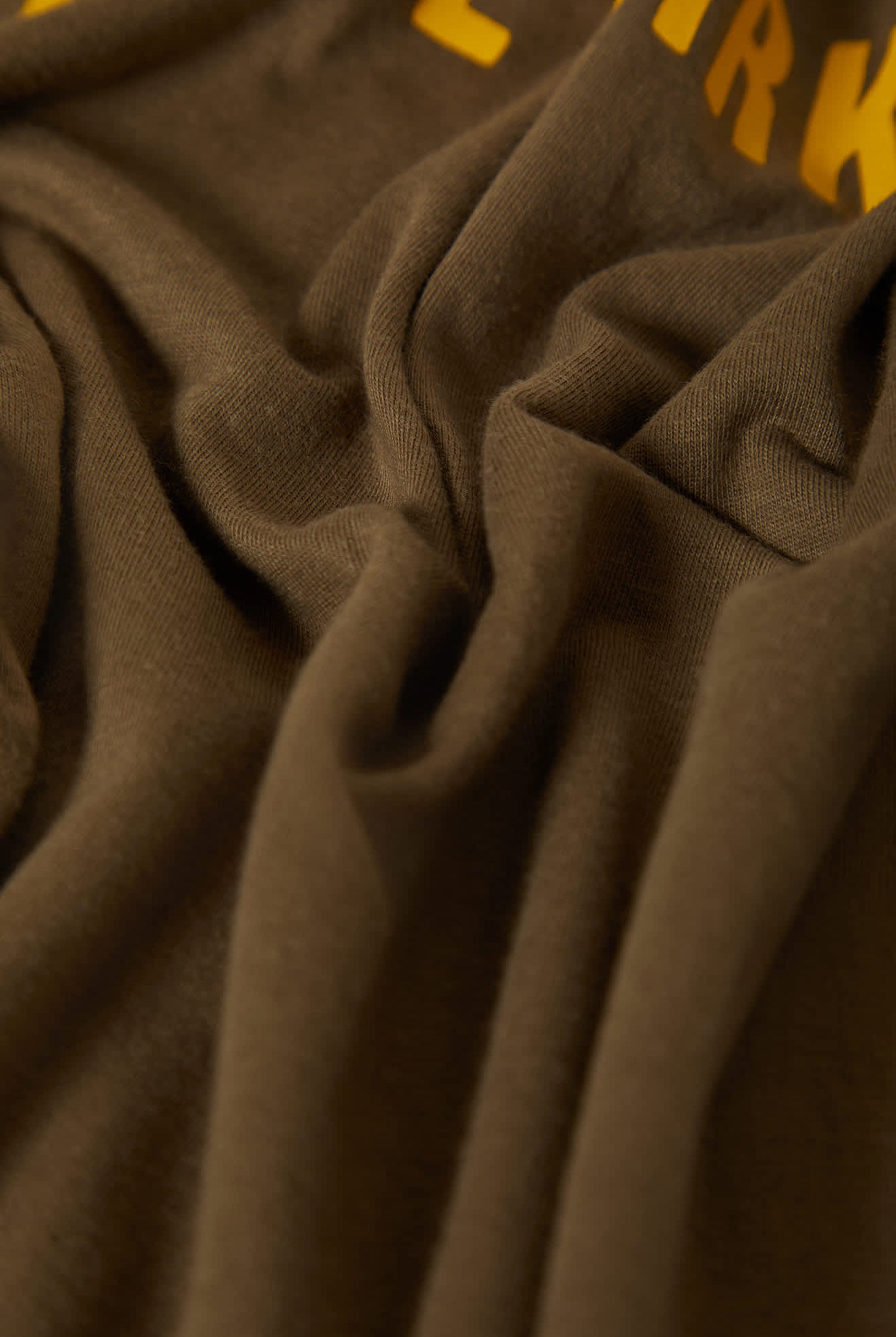 Men's Woodburn Tank Top in the color Ivy Green/Ray Flower - Additional Style View