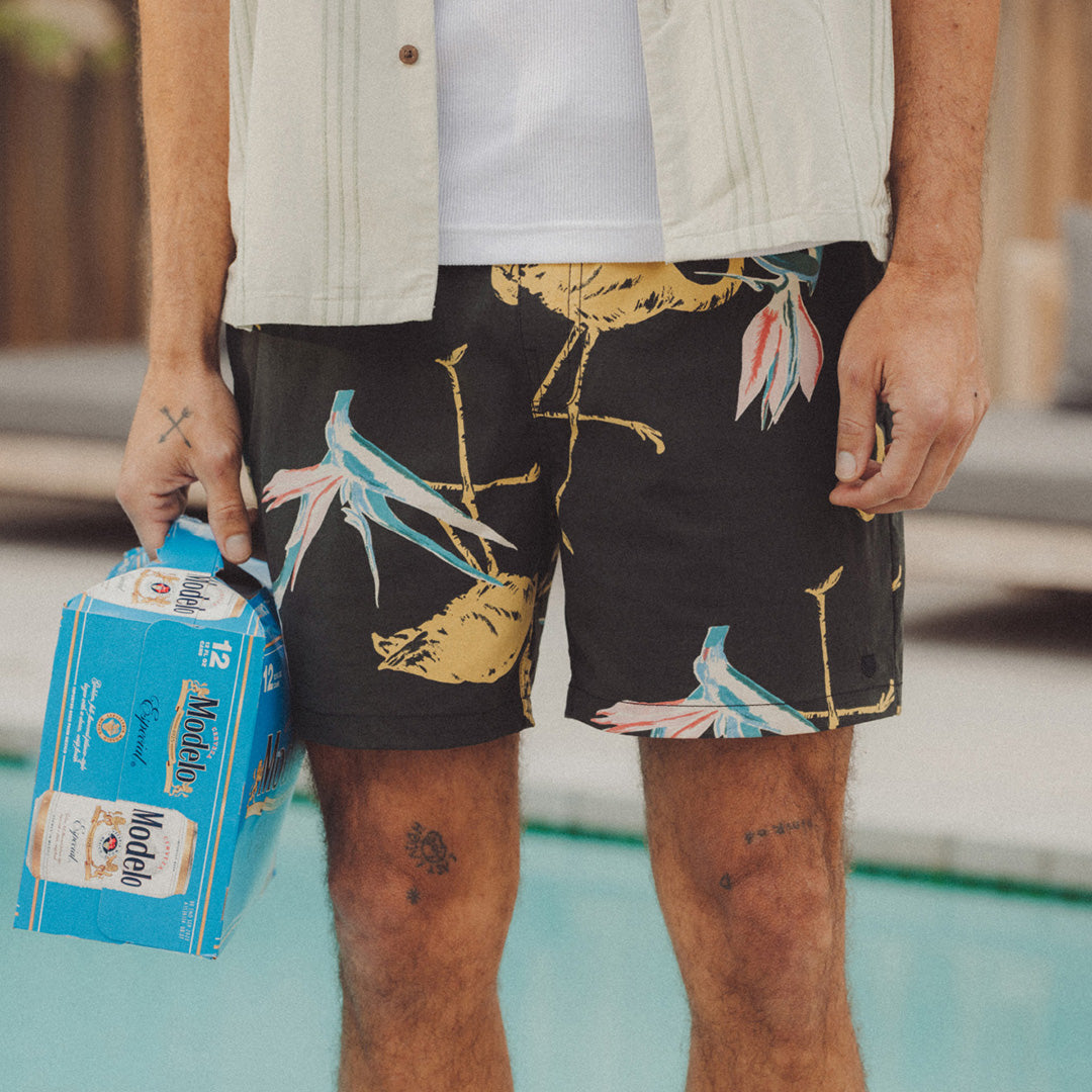 Men's Shorts pool party