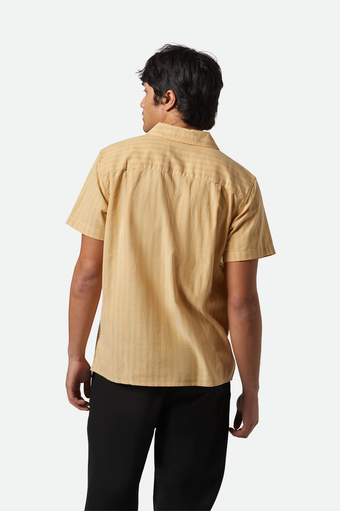 Men's CRU Oxford Stripe S/S Shirt in the color Curry/Ivy Green Stripe - Men's Back View