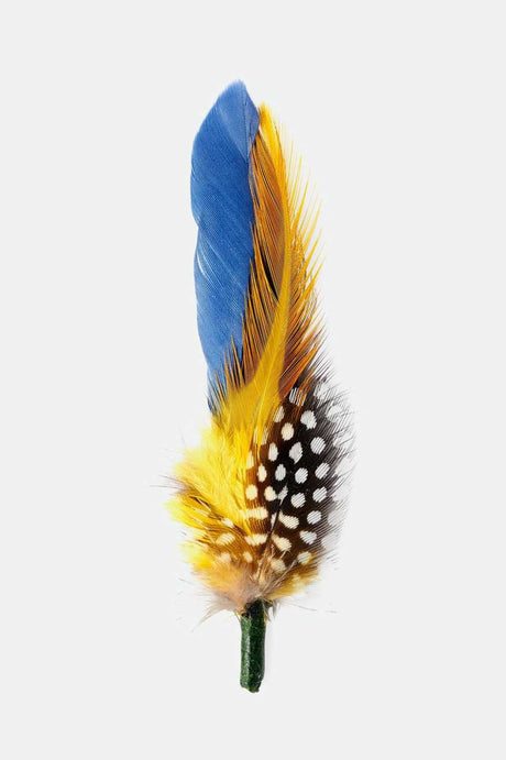 Brixton Unisex Brixton Hat Feather - Joe Blue/Black/Yellow | Main