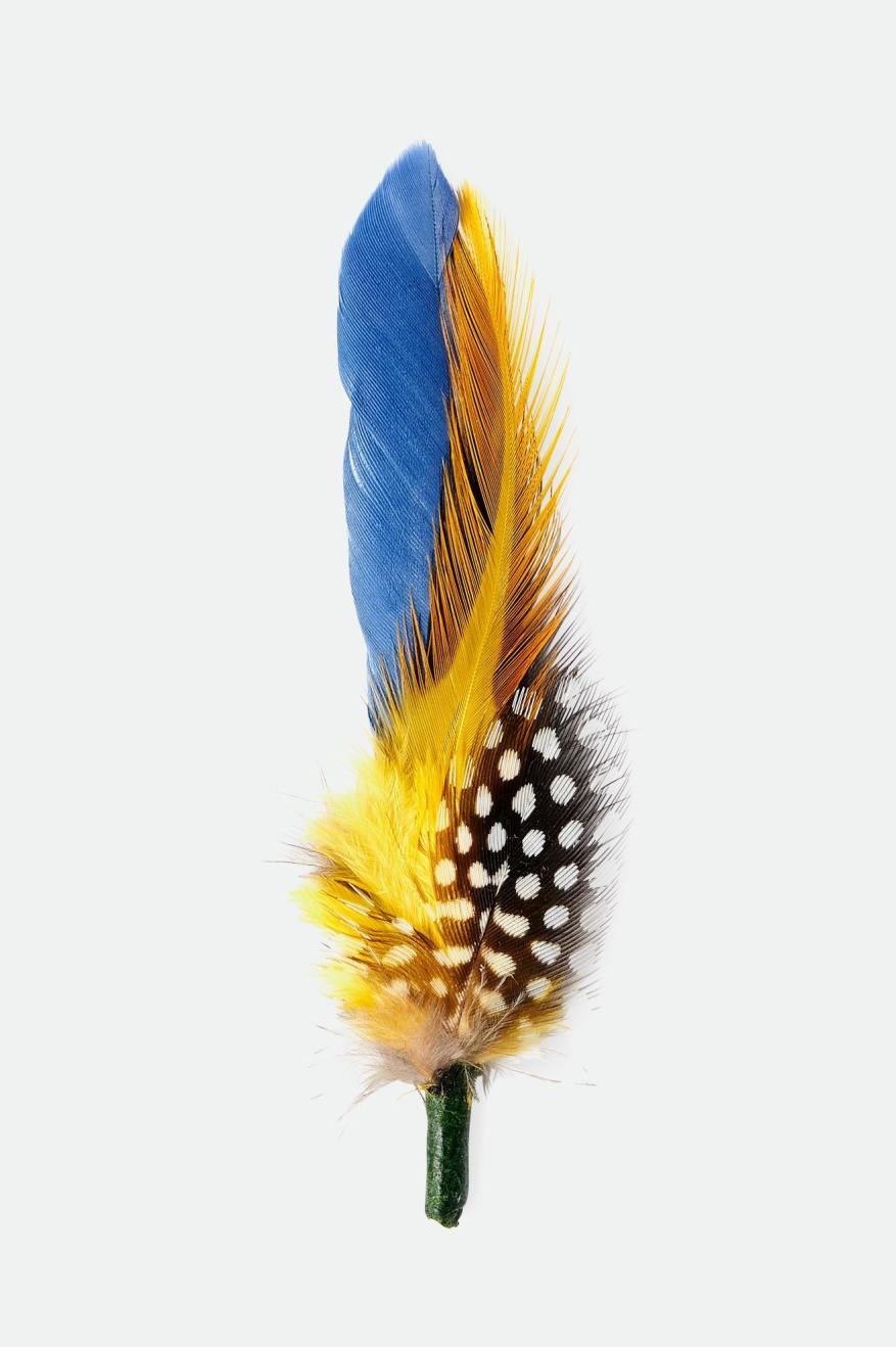 Brixton Hat Feather - Joe Blue/Black/Yellow
