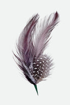 Unisex Brixton Hat Feather in the color Burnt Henna/Black - Front Product View