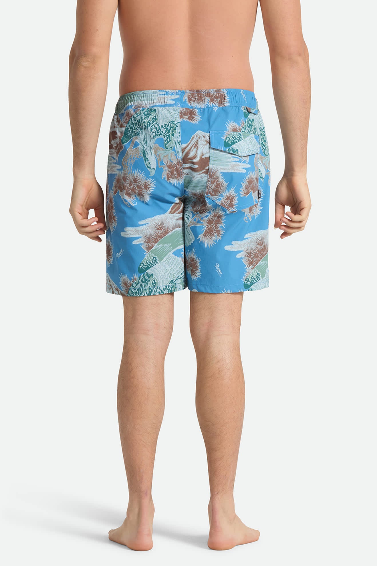 Men's Everyday Stretch Hybrid Short 7" in the color Blue Sky Rainier - Men's Back View