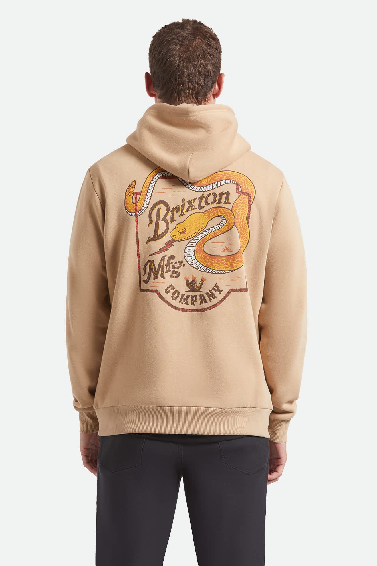 Men's Rothwell Hoodie in the color Sand - Men's Back View