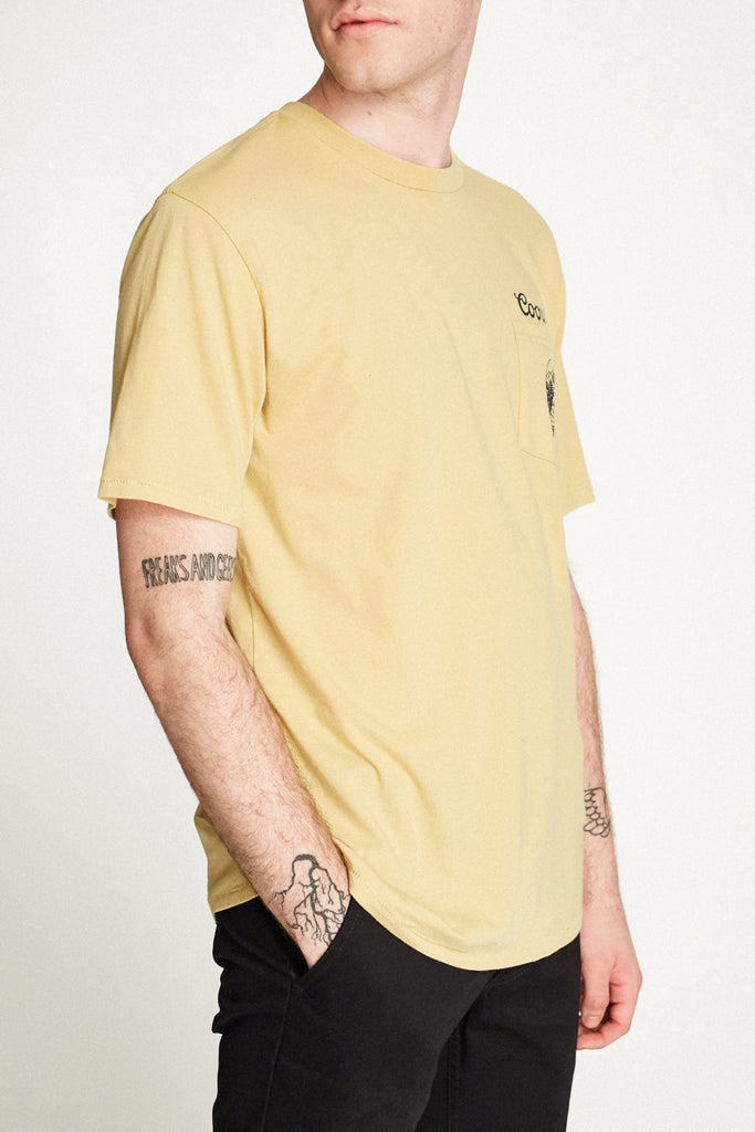 Brixton Filtered S/S Premium Tee - Buff