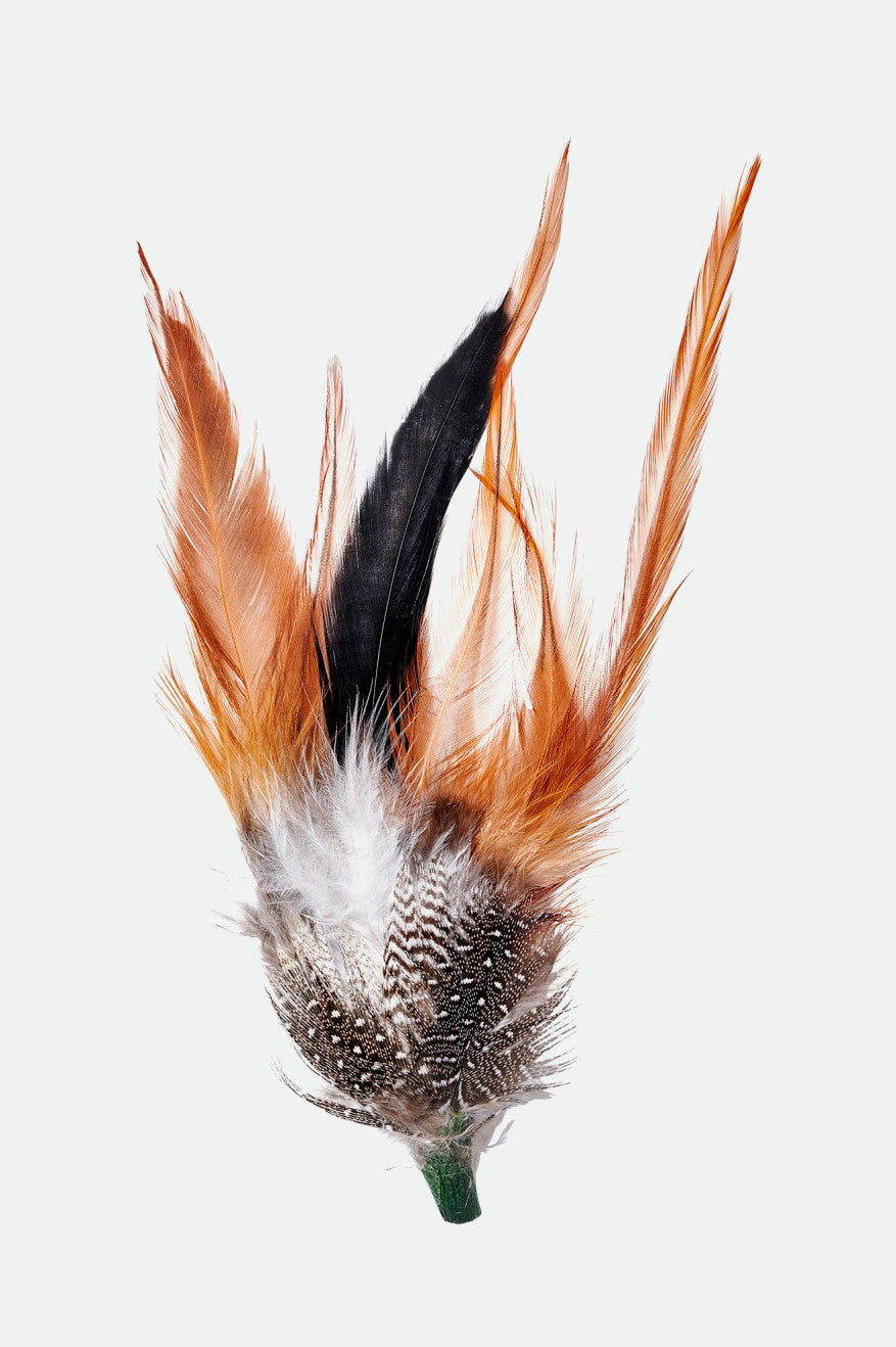 Hat Feather - Burnt Orange/Black/Mahogany